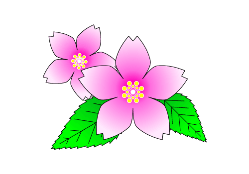 桜（さくら）イラスト